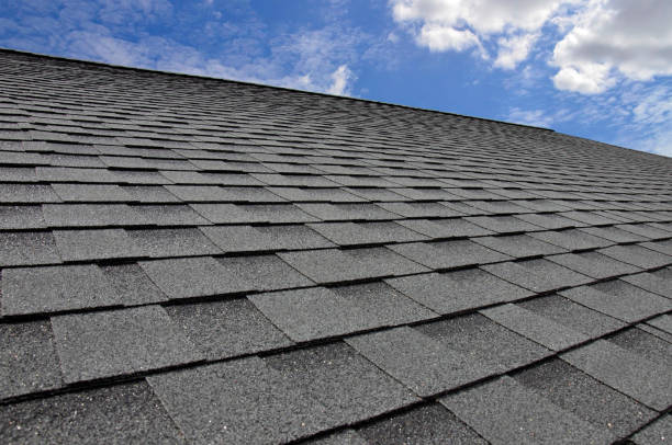 Professional Roofing Service in St Charles, MN